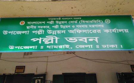 পল্লী উন্নয়ন বোর্ড নিয়োগ বিজ্ঞপ্তি ২০২৫, কাজ উপজেলা পর্যায়ে