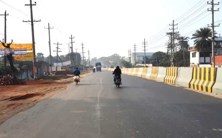 স্বাধীনতা দিবসে পাঁচ ঘণ্টা বন্ধ থাকবে গাবতলী-নবীনগর সড়কে যান চলাচল