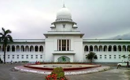 ২০২৪: নানা ঘটনায় আলোচনায় উচ্চ আদালত