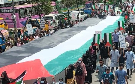 জবিতে ‘মার্চ ফর প্যালেস্টাইন’ কর্মসূচি, যুক্তরাষ্ট্র ও সৌদি দূতাবাসে স্মারকলিপি প্রদান