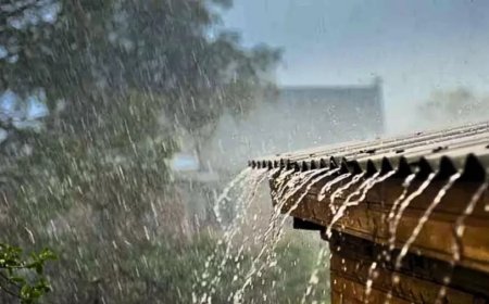 দেশের বিভিন্ন জেলায় আগামী ৫ দিন ঝড়তে পারে বৃষ্টি