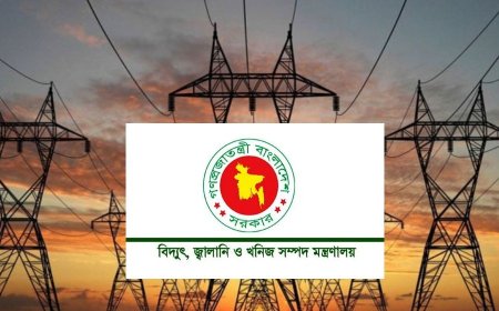 গ্রিড বিপর্যয়ের কারণ জানতে তদন্ত কমিটি গঠন