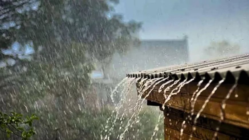 দেশের বিভিন্ন জেলায় আগামী ৫ দিন ঝড়তে পারে বৃষ্টি