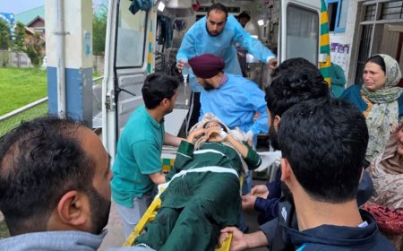 ভারত-পাকিস্তানের সেনাদের গোলাগুলি, ভারত-শাসিত কাশ্মিরে নিহত ৭