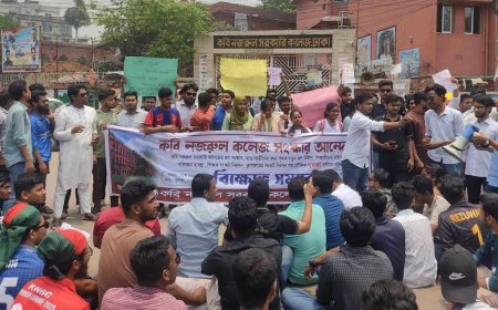 ৭ দফা দাবিতে কবি নজরুল কলেজে শিক্ষার্থীদের বিক্ষোভ