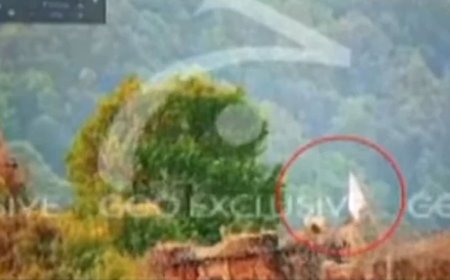 সীমান্তে সাদা পতাকা তুলে ভারত পরাজয় স্বীকার করেছে: পাকিস্তান