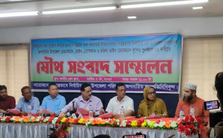 উপজেলা চেয়ারম্যান ও ভাইস-চেয়ারম্যানদের পুনর্বহালের দাবি