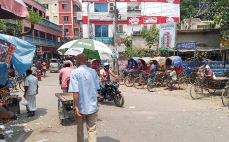 ৪২ ডিগ্রি তাপে পুড়ছে চুয়াডাঙ্গা, গলে যাচ্ছে রাস্তার পিচ