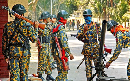 পিলখানা বিদ্রোহ বিডিআরের ৪০ জওয়ানের জামিন