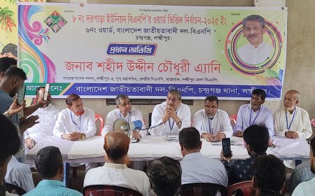 জাতীয় ঐকমত্যের ভিত্তিতেই এই সরকার চলছে : এ্যানি