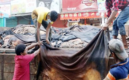 কোরবানির পশুর চামড়ার নতুন দাম নির্ধারণ