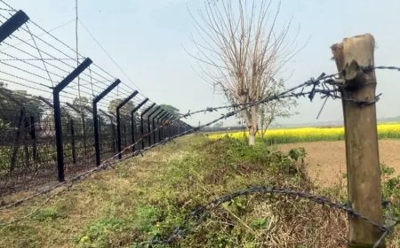 ব্রাহ্মণবাড়িয়া সীমান্তে বিএসএফের গুলিতে ২ বাংলাদেশি আহত