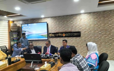 কোরবানির ঈদের ১০ দিন ঢাকায় চামড়া ঢুকতে দেওয়া হবে না : বাণিজ্য উপদেষ্টা