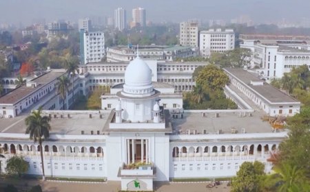 জাতীয় বিশ্ববিদ্যালয়ের চাকরিচ্যুত  ৯৮৮ জনের চাকরি ফেরত দেওয়ার নির্দেশ