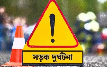 নীলফামারীতে ট্রাকচাপায় মোটরসাইকেলের দুই আরোহী নিহত