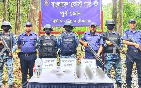 টেকনাফে ফের মিললো বিপুল পরিমাণ গ্রেনেড-গুলি