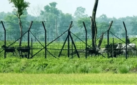 মাসুদের সঙ্গে দেখা করতে এসে বিজিবির হাতে আটক ভারতীয় কিশোরী