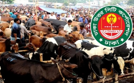হাট শুরুর বাকি ৩ দিন, ঢাকা উত্তরে চূড়ান্ত হয়েছে মাত্র ২টি