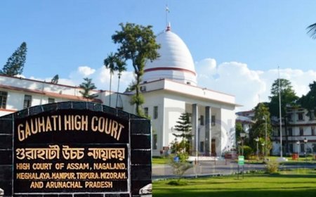 আসাম হাইকোর্টে গেল বাংলাদেশে পুশব্যাক করা ব্যক্তিদের পরিবার