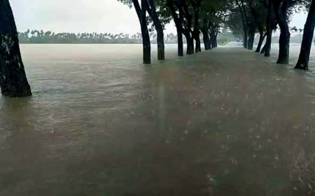 চেরাপুঞ্জিতে রেকর্ড বৃষ্টিপাত, পাহাড়ি ঢলে তলিয়ে গেছে গোয়াইনঘাট সড়ক