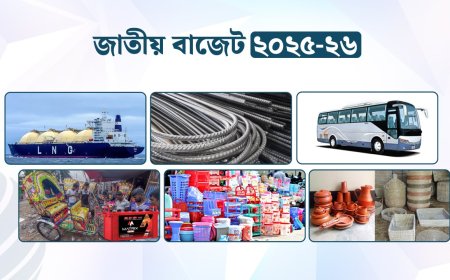 দাম কমতে পারে এলএনজি-জ্বালানি তেলের, বাড়ছে রড ও রিকশার ব্যাটারি