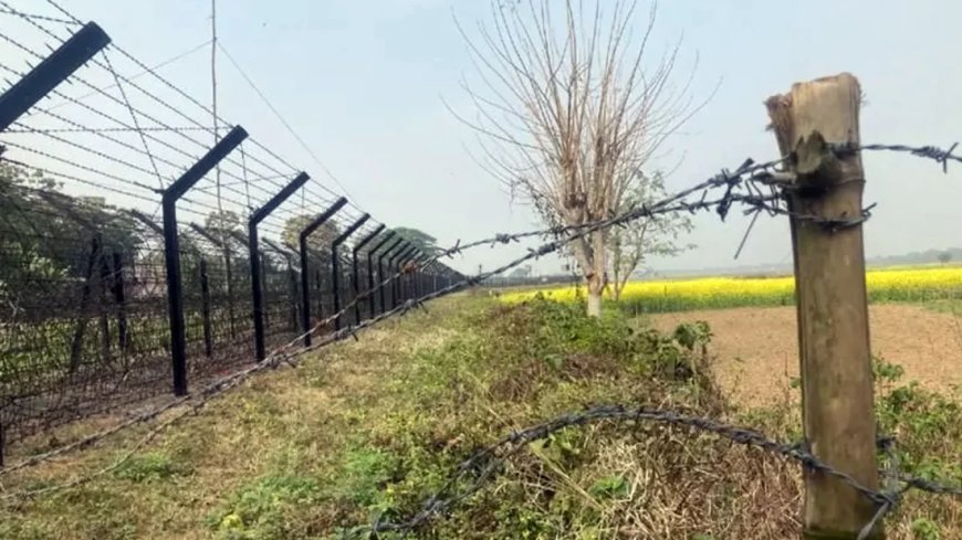 ব্রাহ্মণবাড়িয়া সীমান্তে বিএসএফের গুলিতে ২ বাংলাদেশি আহত