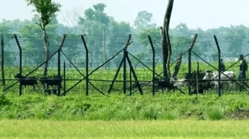 মাসুদের সঙ্গে দেখা করতে এসে বিজিবির হাতে আটক ভারতীয় কিশোরী