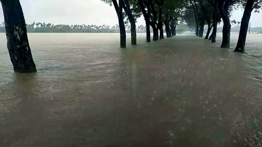 চেরাপুঞ্জিতে রেকর্ড বৃষ্টিপাত, পাহাড়ি ঢলে তলিয়ে গেছে গোয়াইনঘাট সড়ক