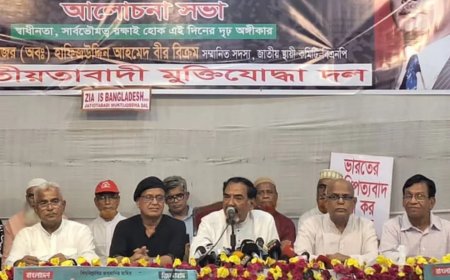 উপদেষ্টা পরিষদে ছাত্রদের রাখা বিরাট ভুল হয়েছে: মেজর হাফিজ