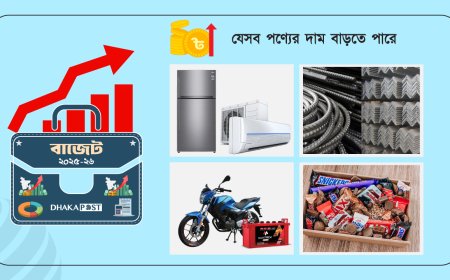 বাজেট ২০২৫-২৬ শুল্ক-কর বৃদ্ধিতে দাম বাড়তে পারে যেসব পণ্যের