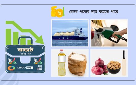 বাজেটে দাম কমার সুখবর থাকছে যেসব পণ্যে