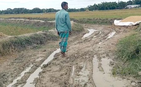 সড়কের মাটি খুড়ে নিরুদ্দেশ ঠিকাদার, দুর্ভোগে ১৫ গ্রামের মানুষ