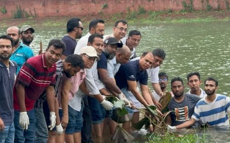 জিয়া উদ্যানের লেকে ‘শাপলা ফুল’ রোপণ করলো ‘আমরা বিএনপি পরিবার’