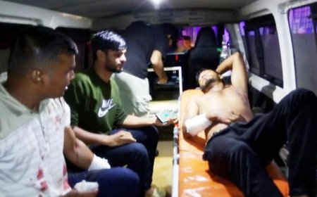 লাউয়াছড়া বনের সড়কে গাছ ফেলে ডাকাতি, আহত ২০