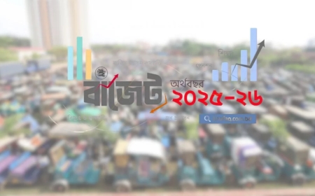 বাজেটে ব্যাটারিচালিত রিকশার জন্য ‘দুঃসংবাদ’