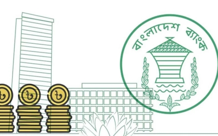 দেশে কোটিপতি কমেছে ৭১৯ জন