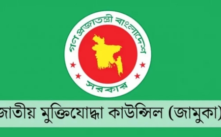 মুক্তিযুদ্ধে সহায়তাকারীরা পাচ্ছেন বিশেষ স্বীকৃতি