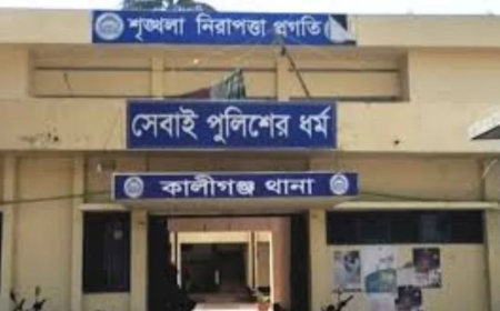 বিএনপির নেতাকর্মীদের মধ্যে সংঘর্ষে দুই ভাইয়ের মৃত্যুর ঘটনায় কালীগঞ্জে উত্তেজনা