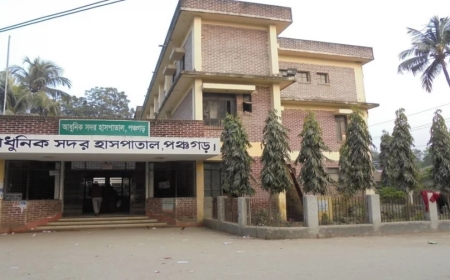 পঞ্চগড়ে ভুট্টাক্ষেতে বিদ্যুতের ছেঁড়া তারে স্পৃষ্ট হয়ে তিনজনের মৃত্যু