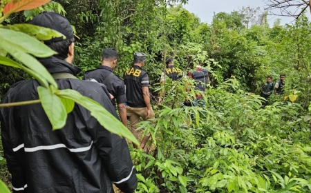 টেকনাফের গহীন পাহাড়ে র‌্যাবের অভিযান