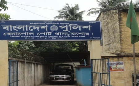 খোল মাঠে পড়েছিল স্ত্রীর নিথর দেহ, স্বামীর লাশ ঝুলছিল গাছে