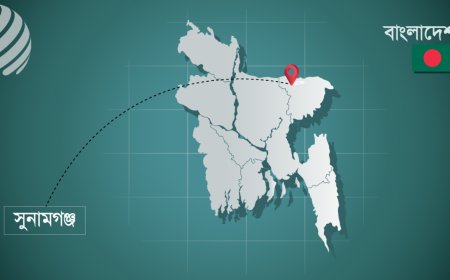 অশালীন আচরণের প্রতিবাদ করায় ভাতিজার হাতে চাচি খুন