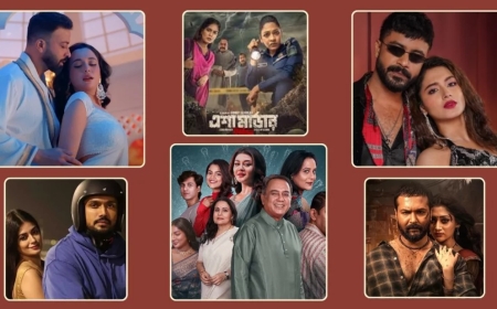 ঈদের সিনেমাগুলো কত আয় করলো