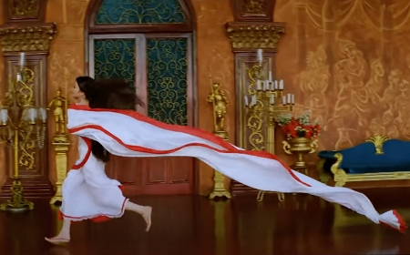 ‘দেবদাস’ সিনেমায় পার্বতীর শাড়ি