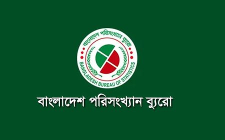 সরকারি সেবায় এক তৃতীয়াংশের বেশি নাগরিক দুর্নীতির শিকার: বিবিএস