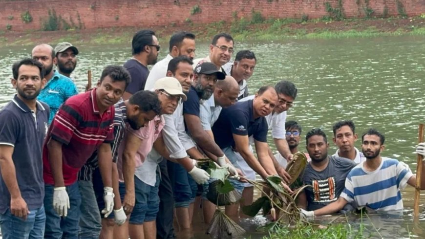 জিয়া উদ্যানের লেকে ‘শাপলা ফুল’ রোপণ করলো ‘আমরা বিএনপি পরিবার’