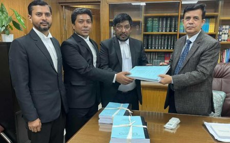 আশুলিয়া হত্যাকাণ্ড: ট্রাইব্যুনালে আনুষ্ঠানিক অভিযোগ দাখিল
