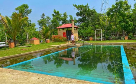 কুলাউড়ায় প্রাকৃতিক সৌন্দর্যে ভরা ‘আমানীপুর পার্ক’দর্শনার্থীদের ভালোবাসা, বিস্তারিত প্রতিবেদনে