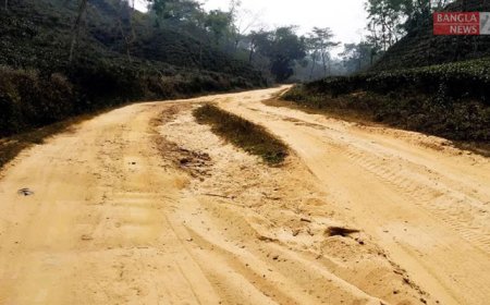 কমলগঞ্জের পতনউষার তারাপাশা-এয়ারপোর্ট রোডের বেহাল দশা, জনদুর্ভোগ চরমে।