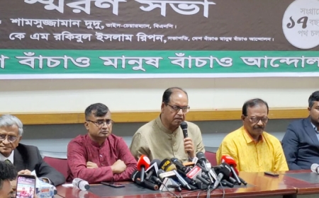 যারা পিআর চায়, তারা আওয়ামী লীগকে ফেরাতে চায়: দুদু
